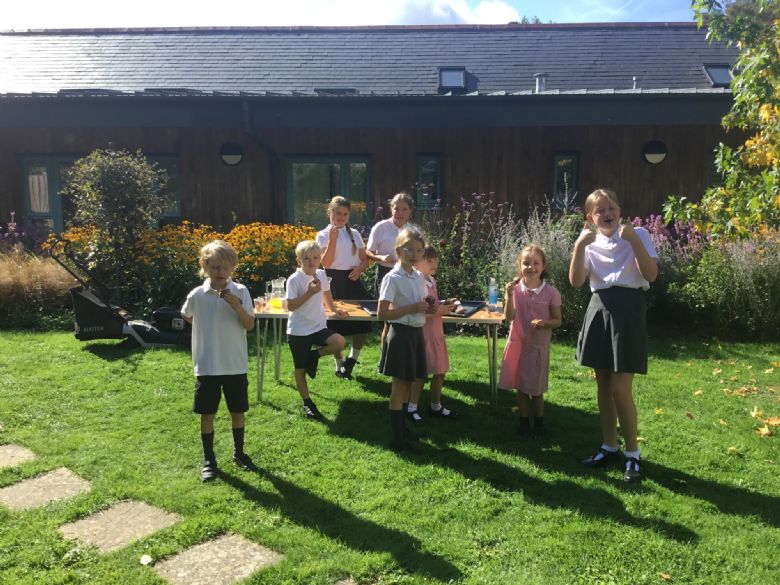 Bosham Primary School - Packed Lunches